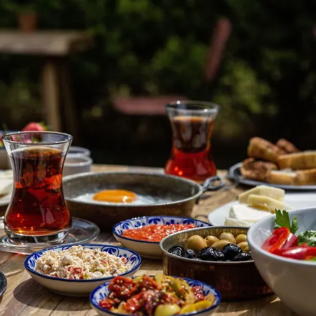 Ender (adults Only) 2*