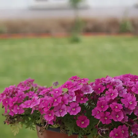 Ender (adults Only) Hotel 2*