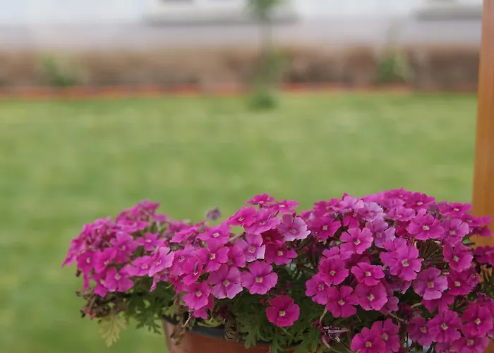 Ender (adults Only) 호텔 2*